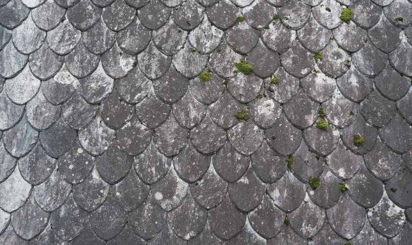 quality roofing services in Loxahatchee